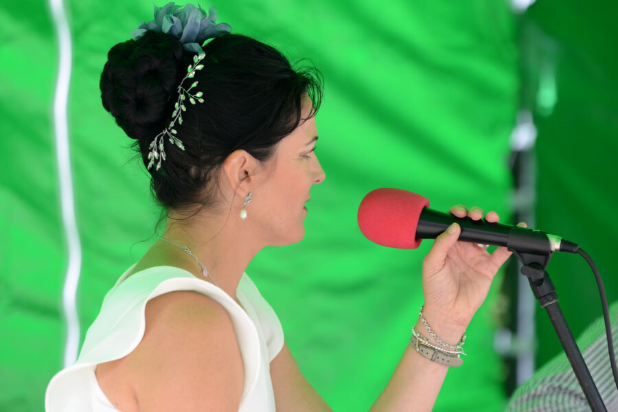 Alex Oakes performing on New Street Corner at Honiton Market Charter Day 2025